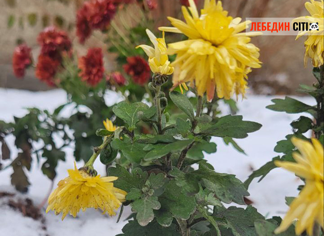 Прогноз погоди на Сумщині: 8 грудня