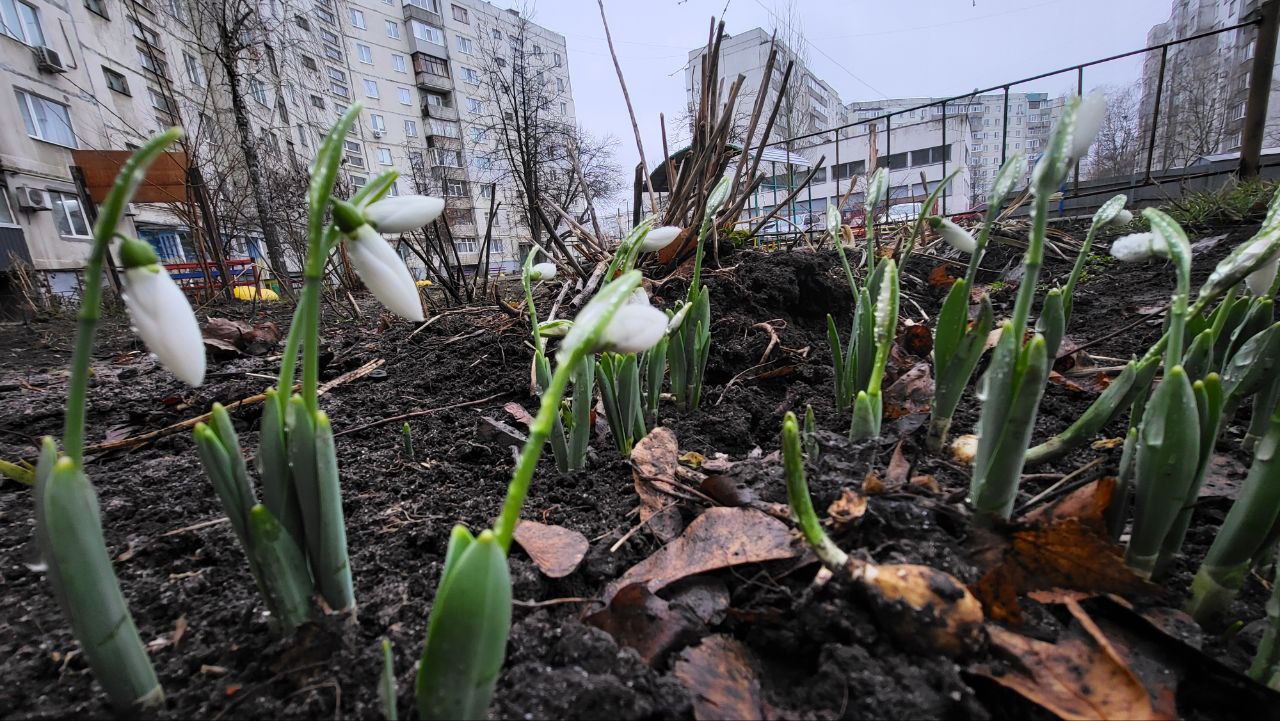 Прогноз погоди на Сумщині 31 січня