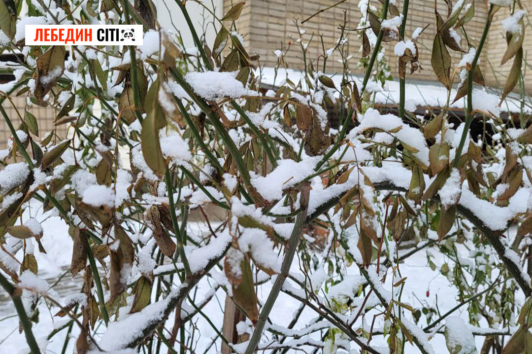 В Сумській області 21 лютого очікується мінлива хмарність, без опадів