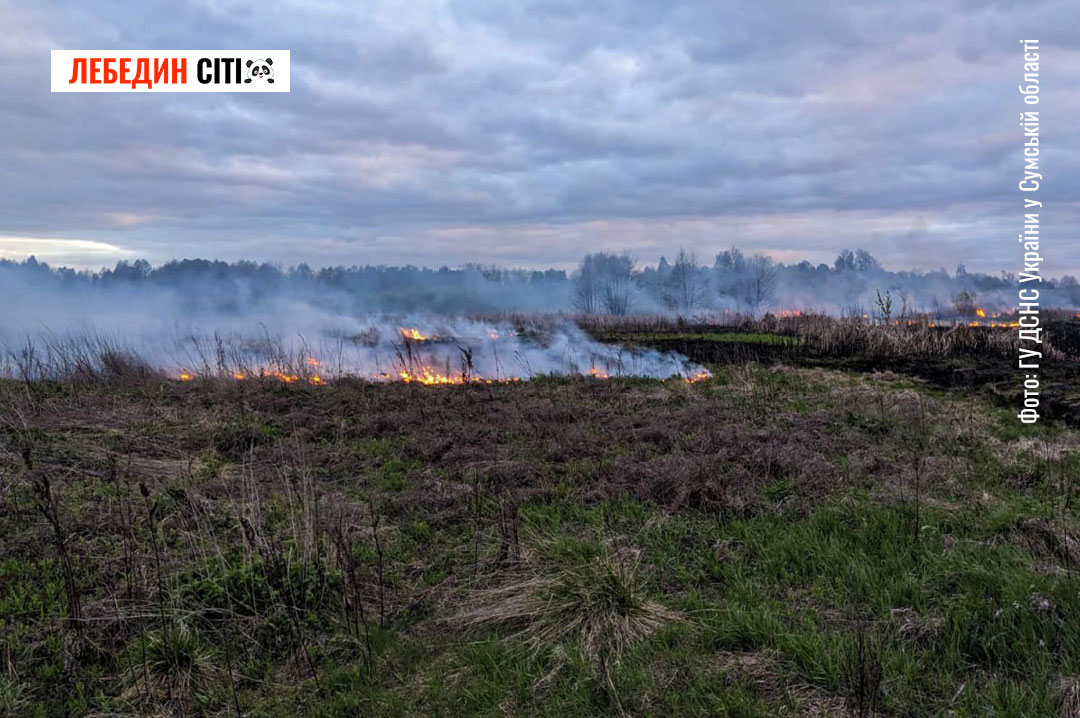 На Лебединщині рятувальники ліквідували масштабну пожежу сухої трави