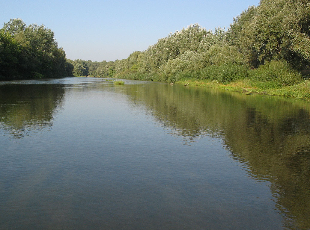 Температура води в річках Сумщини знизилася