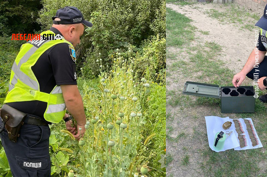 У Лебедині поліція виявила у місцевих мешканців наркоплантацію та зброю