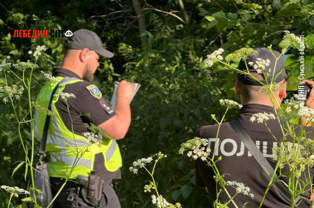 На Сумщині жорстоко вбили 17-річну дівчину