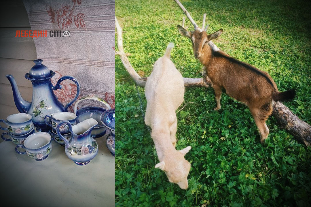 Оголошення Лебединщини за 31 серпня