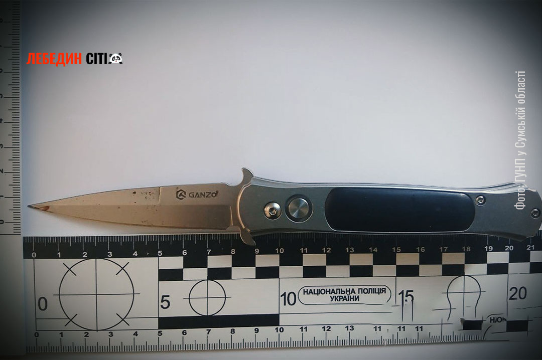 На Сумщині чоловік під час сімейної сварки завдав ножових поранень матері та брату