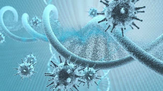 Епідемічна ситуація в Лебединській громаді: 103 випадки ГРВІ, 4 – COVID-19 та 2 – туберкульозу за тиждень