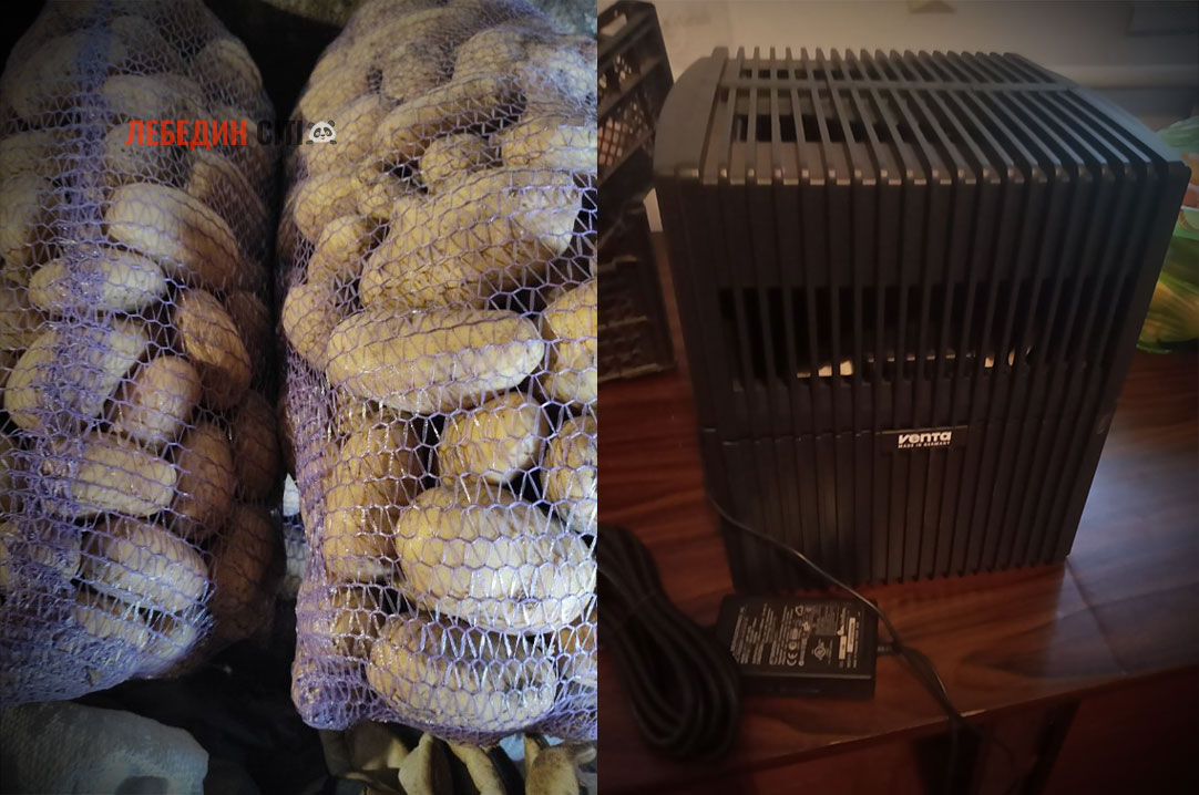 Оголошення Лебединщини за 29 жовтня