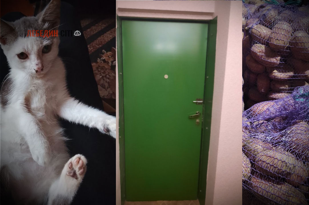 Оголошення Лебединщини за 10 жовтня