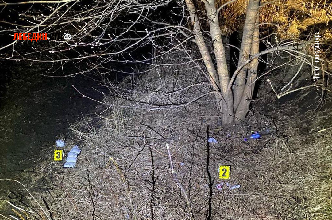 За побиття п’ятьох неповнолітніх на дорозі «Тростянець-Лебедин» засудили двох молодиків