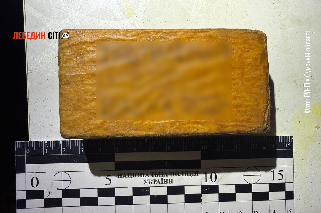 У Лебедині поліція викрила 29-річного містянина у зберіганні боєприпасів