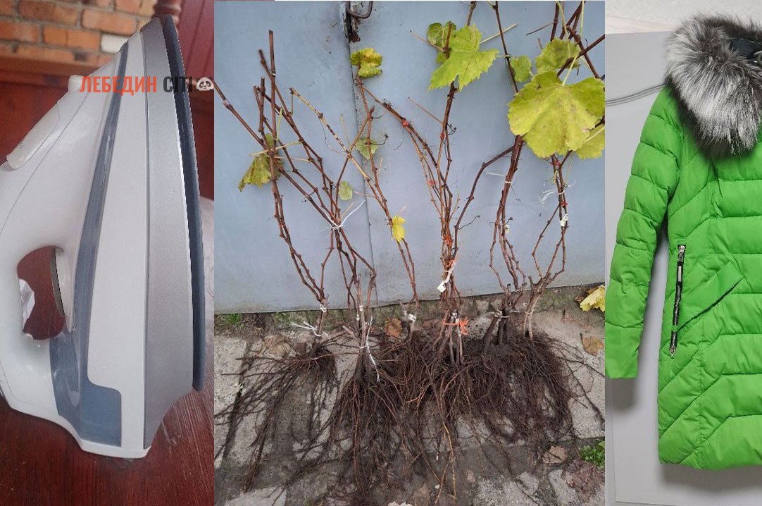 Оголошення Лебединщини за 6 листопада