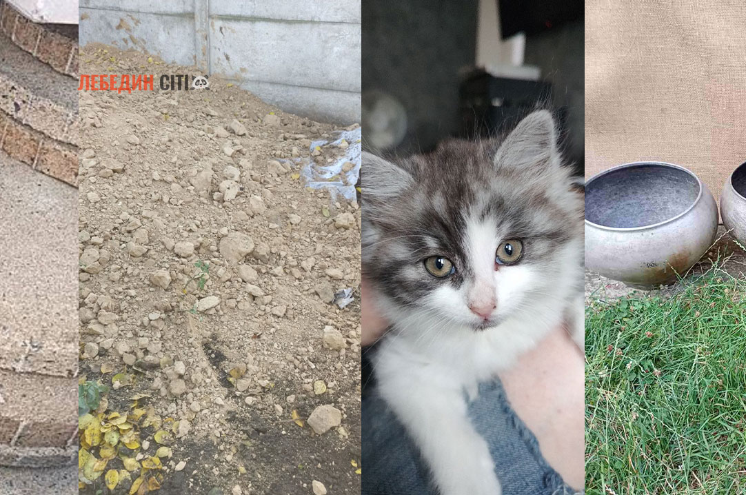 Оголошення Лебединщини за 5 листопада