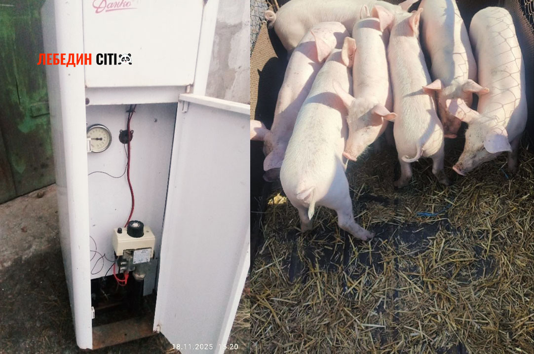 Оголошення Лебединщини за 15 грудня