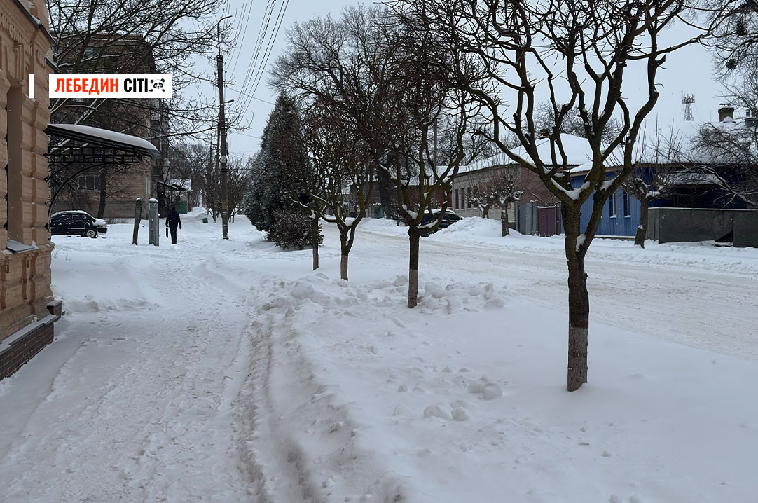 Випробування снігом: як Лебединська громада долає наслідки негоди