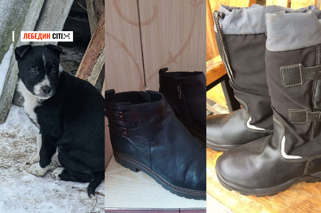 Оголошення Лебединщини за 22 лютого