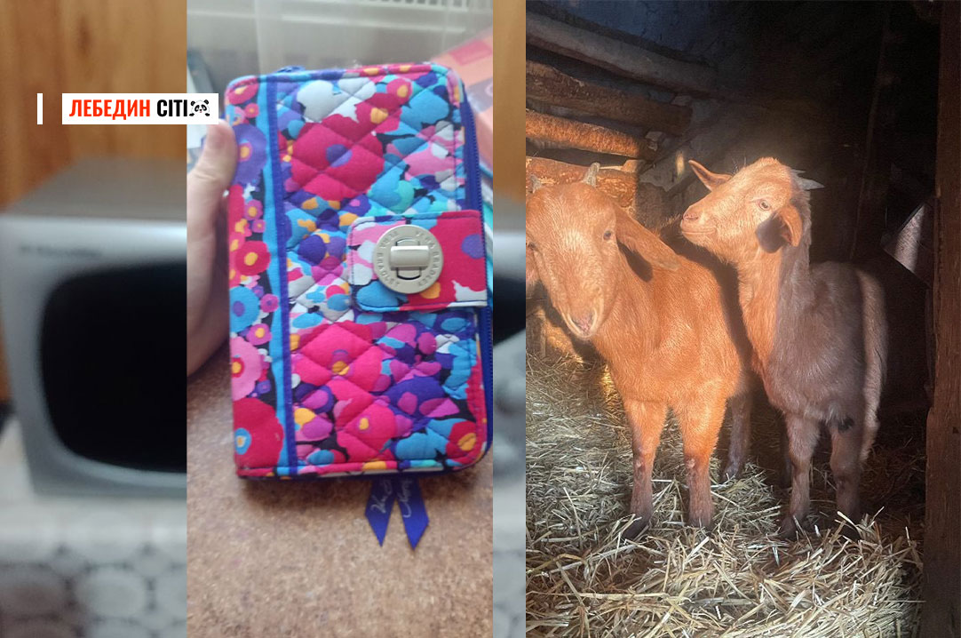 Оголошення Лебединщини за 3 березня