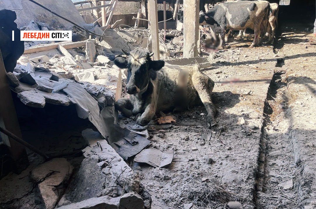 У Лебединській громаді через російську атаку загинули тварини