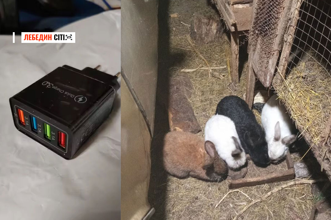 Оголошення Лебединщини за 17 квітня