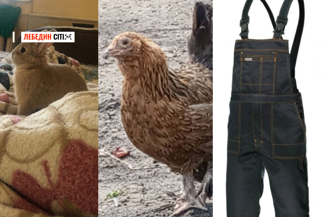 Оголошення Лебединщини за 13 квітня