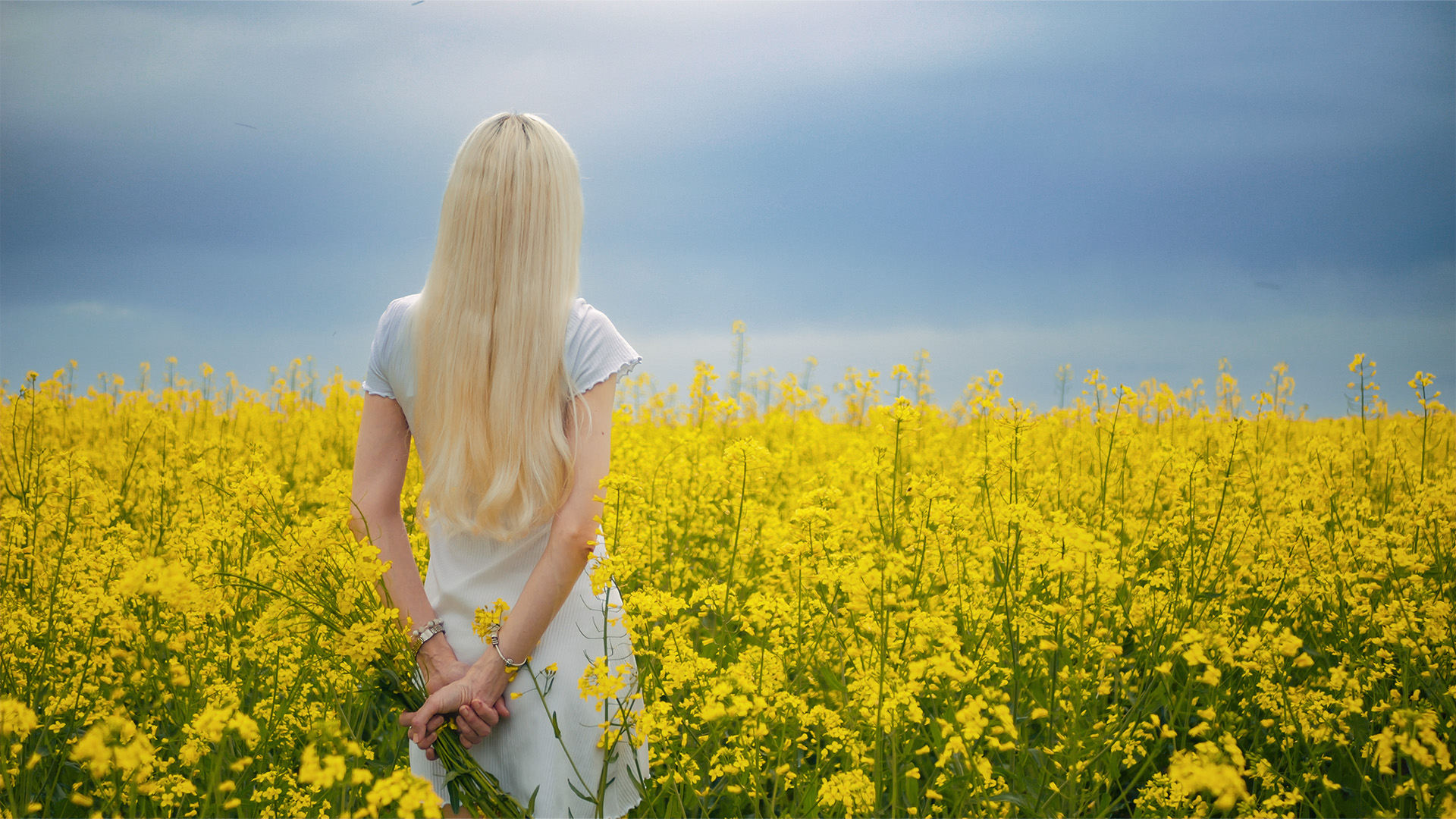 🌼 Фотосесії в ріпаковому полі — Лебедин