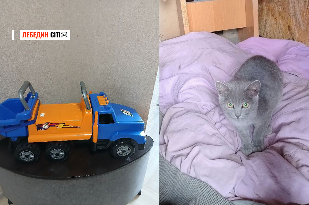Оголошення Лебединщини за 29 вересня