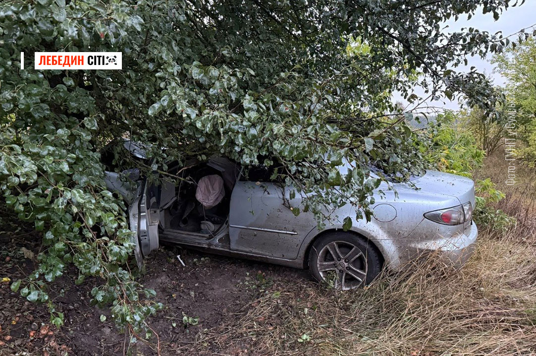 У Сумському районі внаслідок ДТП загинув водій