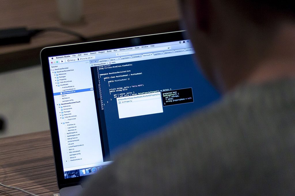 Изучение программирования и информационных технологий за ноутбуком